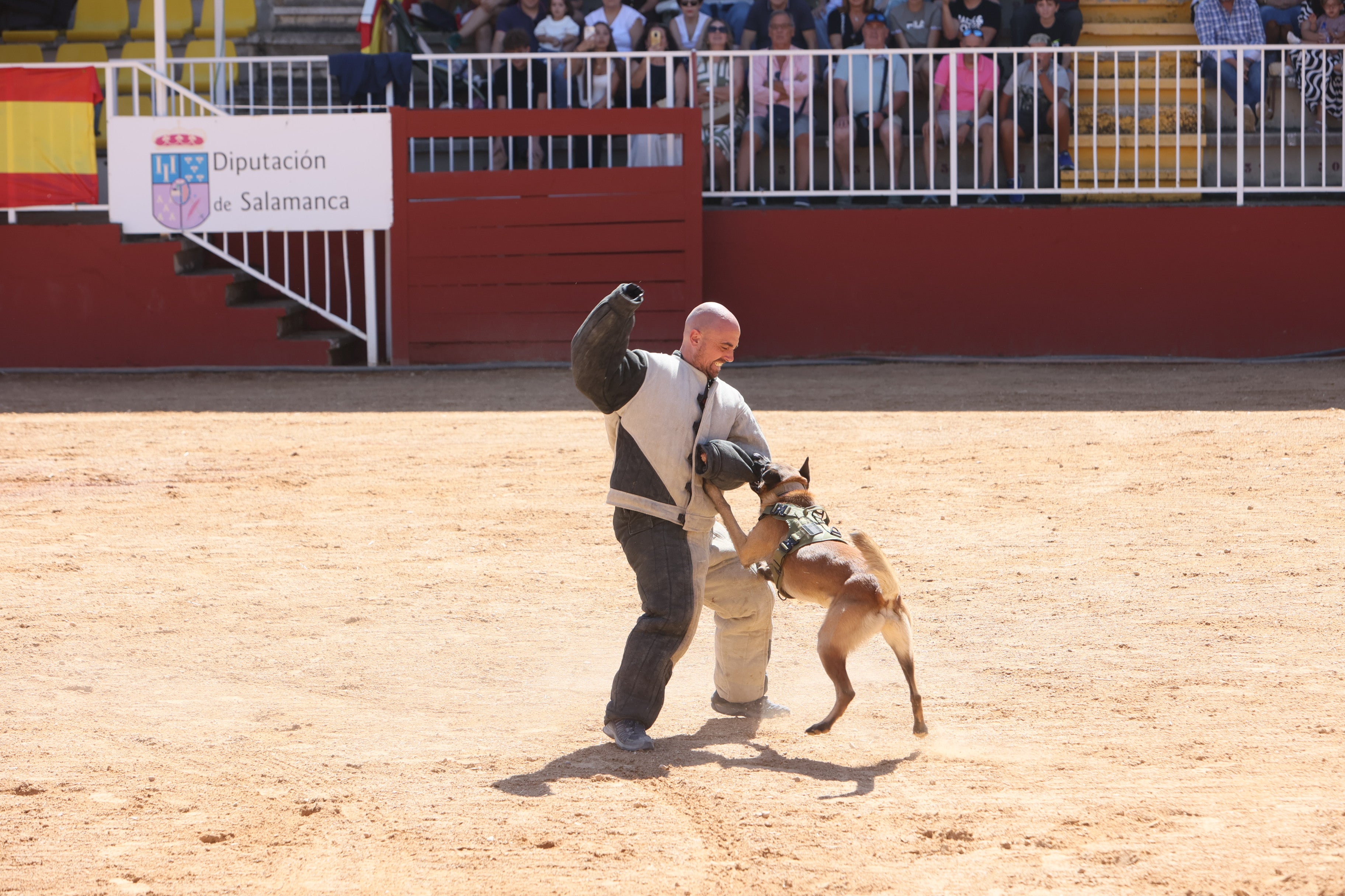 Las mejores imágenes del tercer día de Salamaq 2025