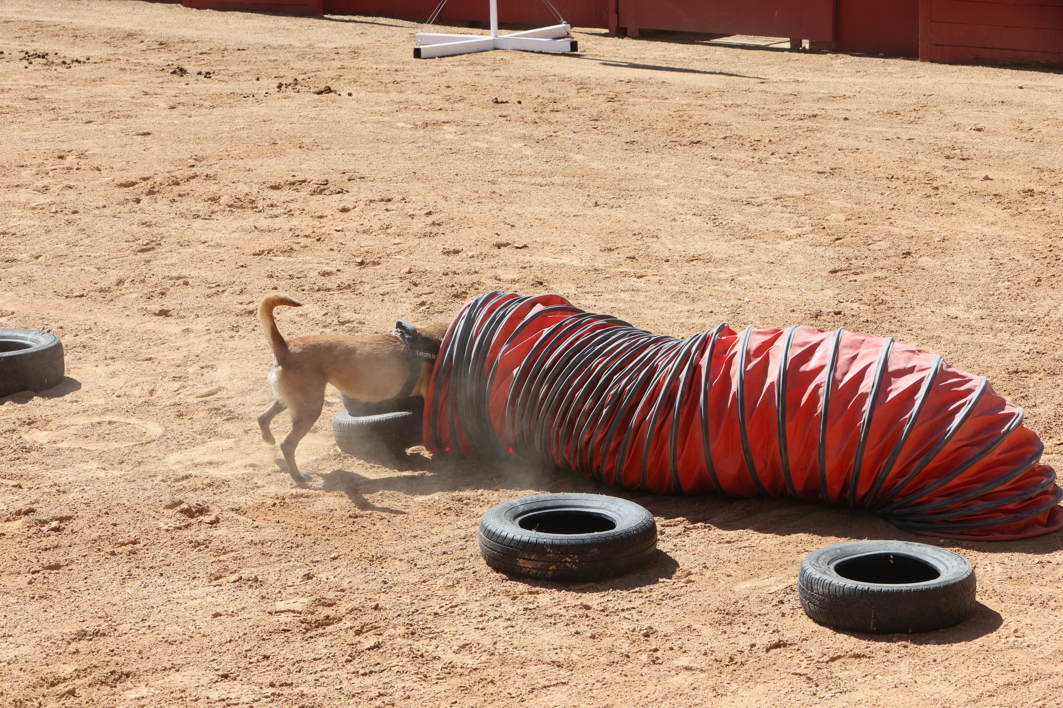 Las mejores imágenes del tercer día de Salamaq 2025