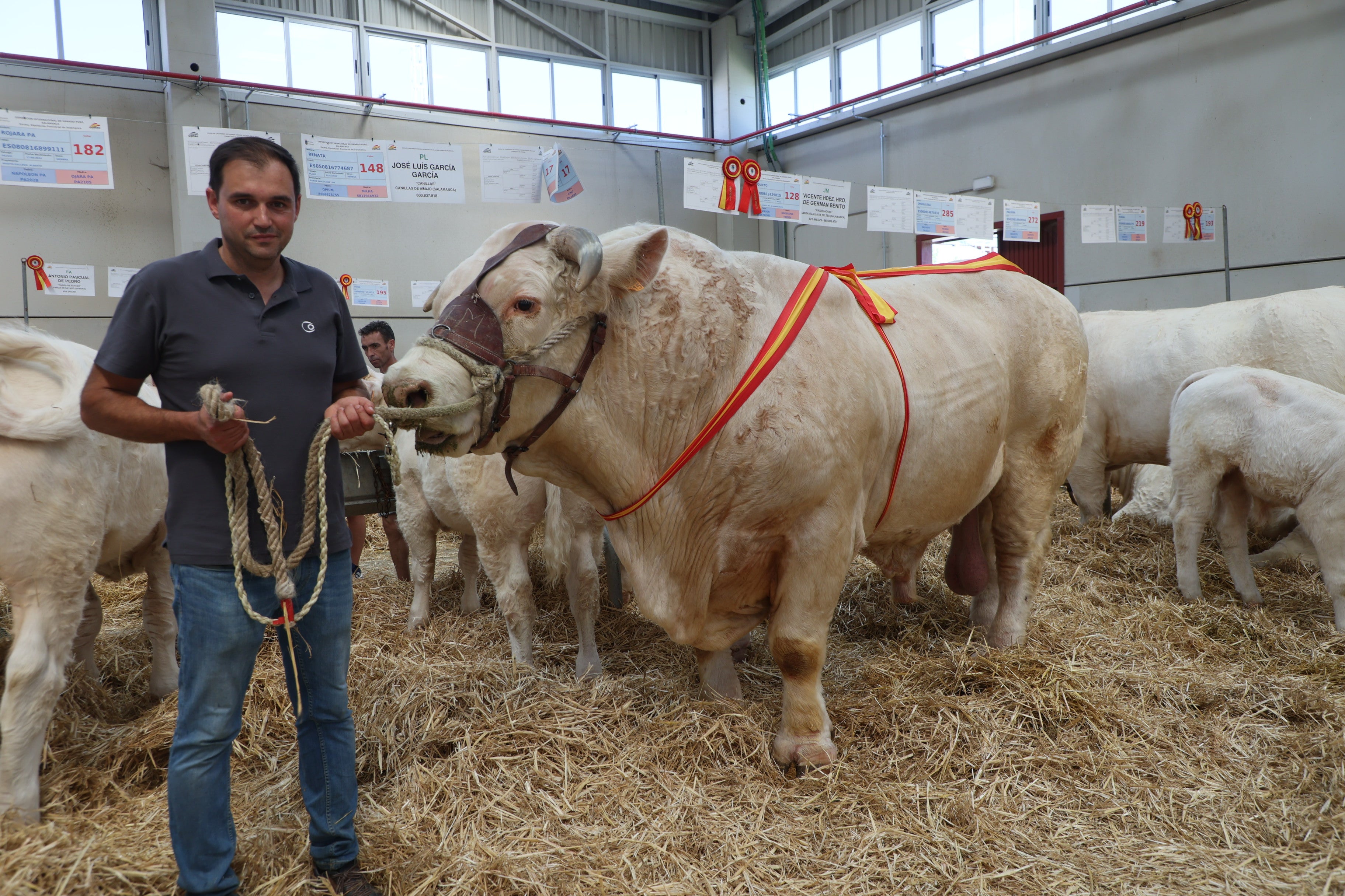 Las mejores imágenes del tercer día de Salamaq 2025