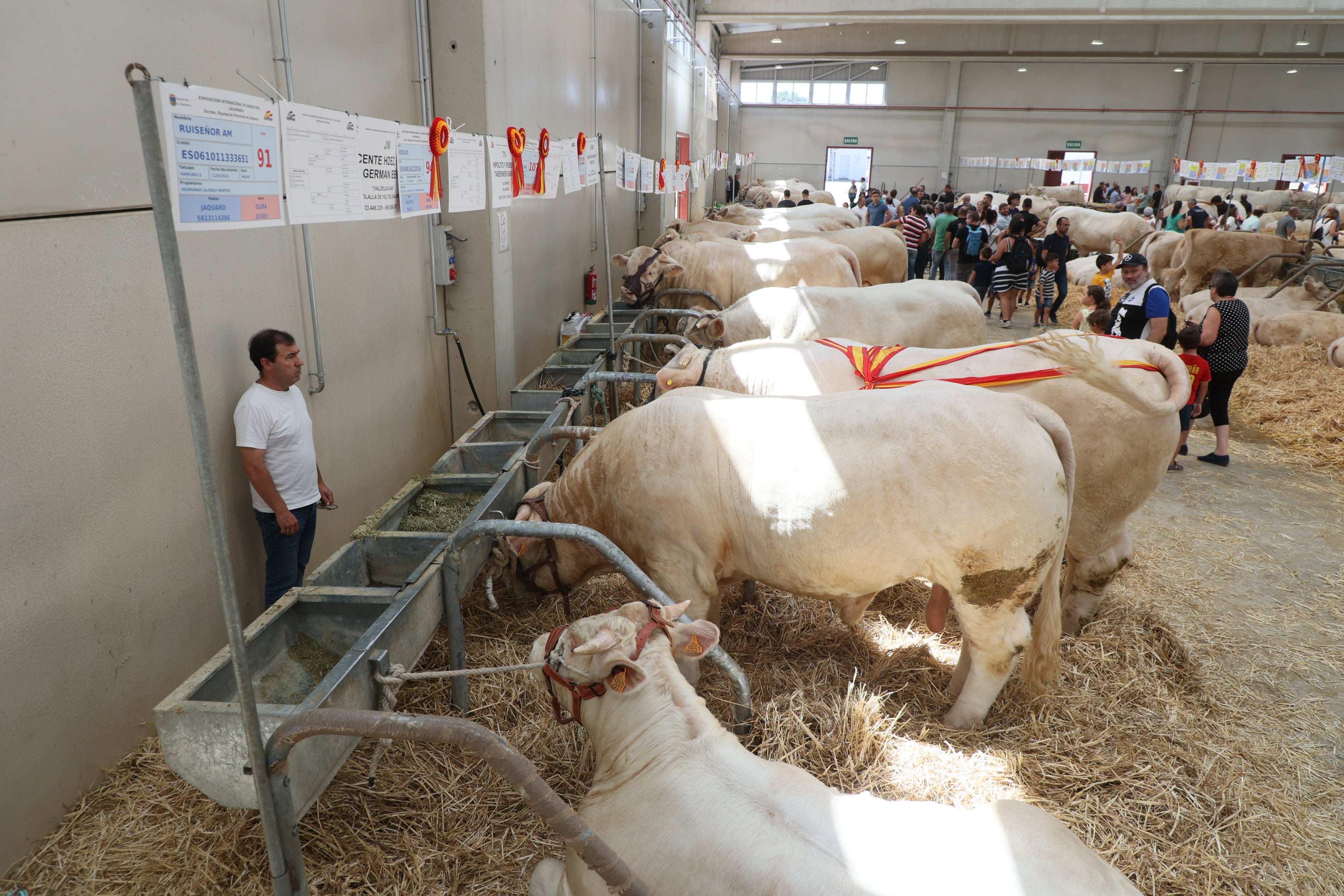 Las mejores imágenes del tercer día de Salamaq 2025