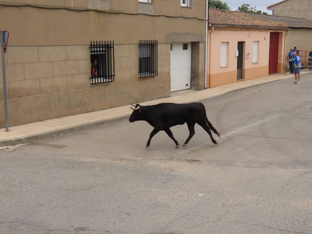 1.800 raciones de paella en Villoria