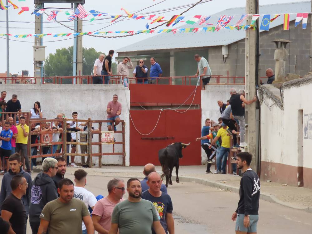 1.800 raciones de paella en Villoria