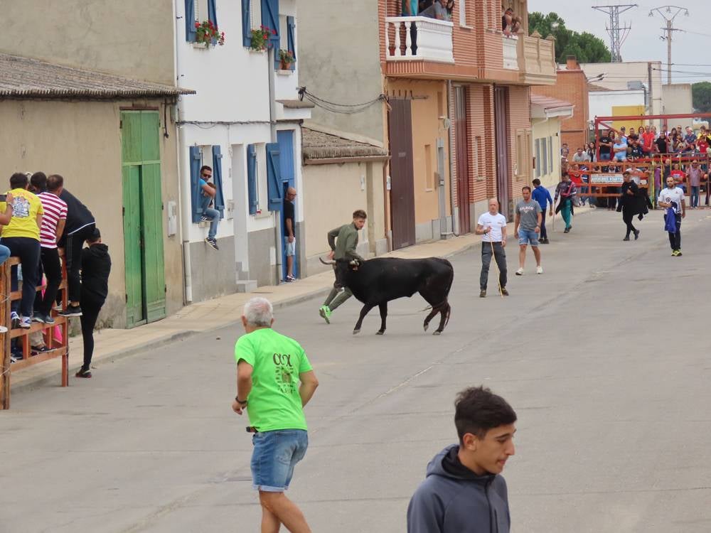 1.800 raciones de paella en Villoria