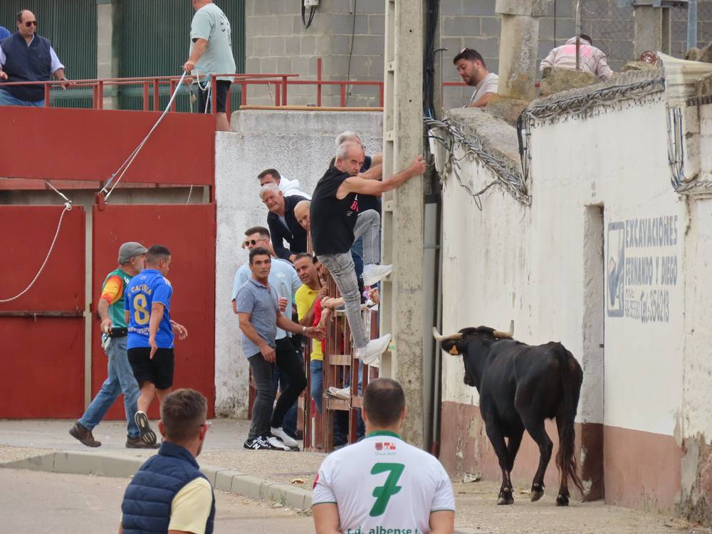 1.800 raciones de paella en Villoria