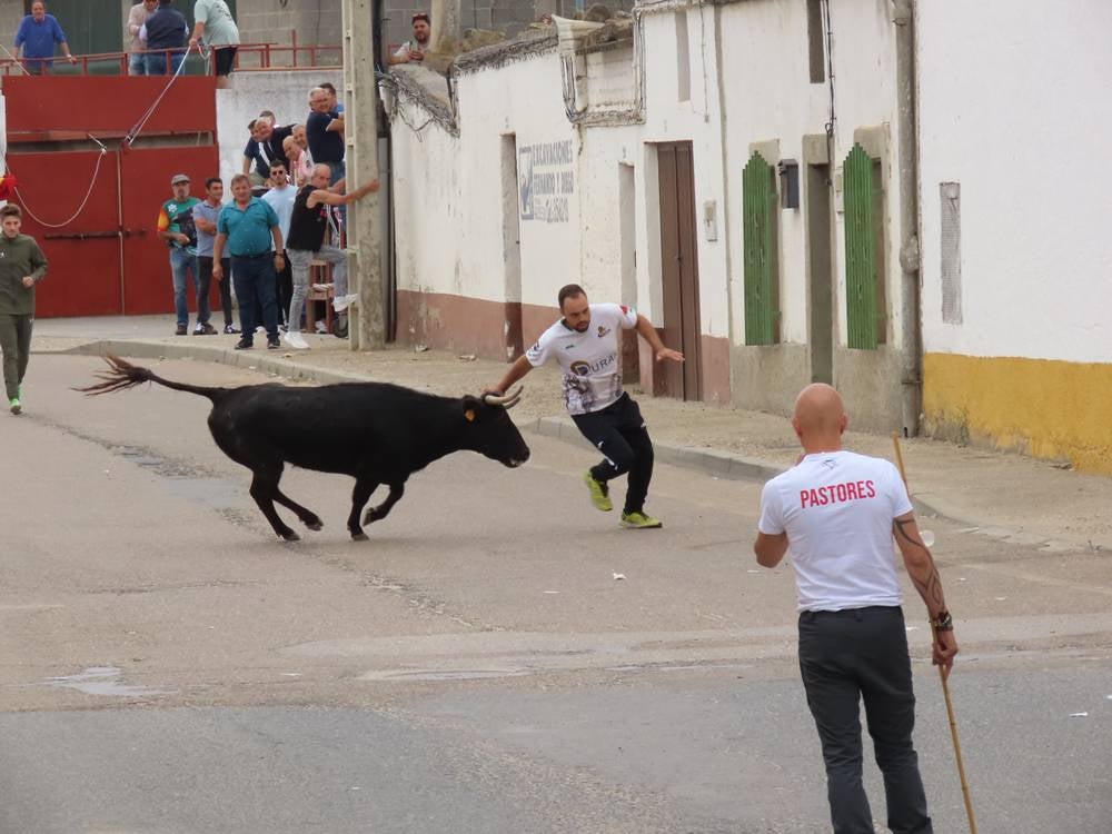 1.800 raciones de paella en Villoria