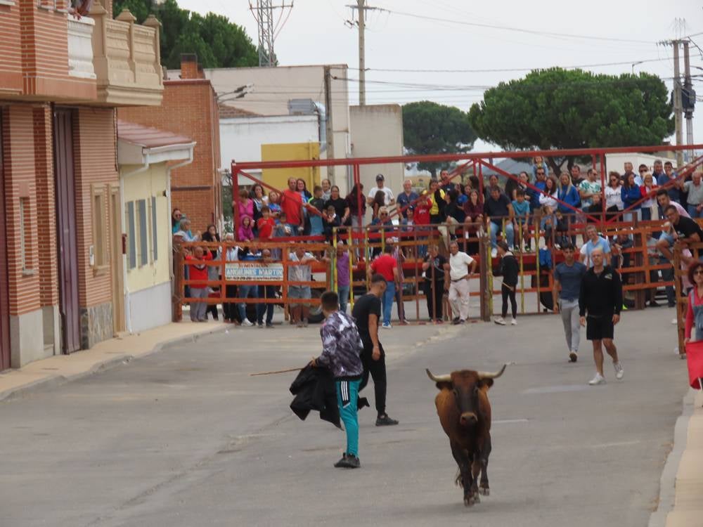 1.800 raciones de paella en Villoria