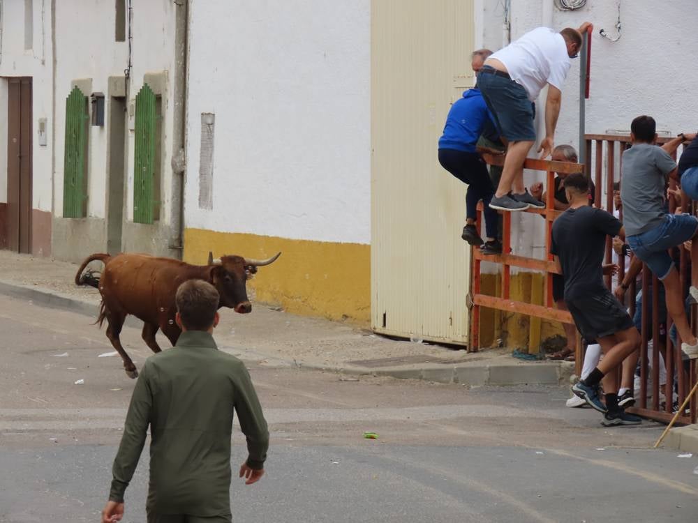 1.800 raciones de paella en Villoria