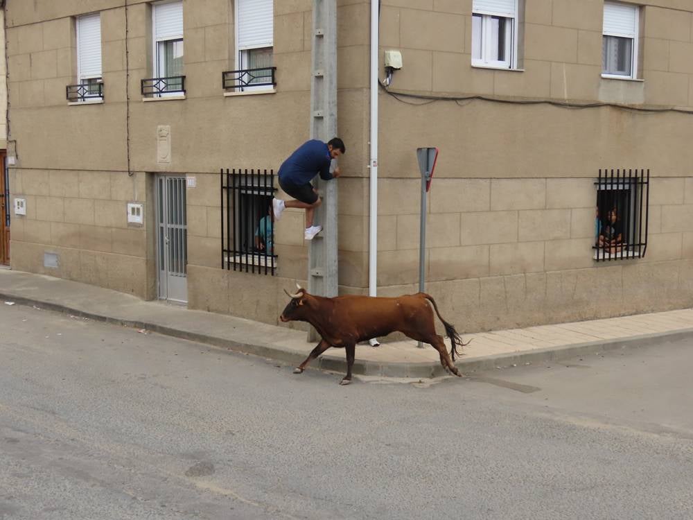 1.800 raciones de paella en Villoria
