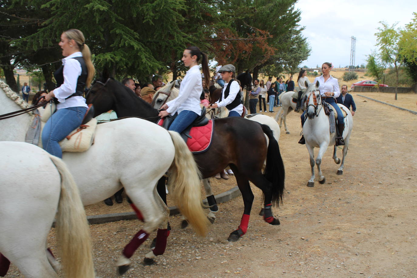 Honores a la Virgen del Carrascal en Cespedosa de Tormes