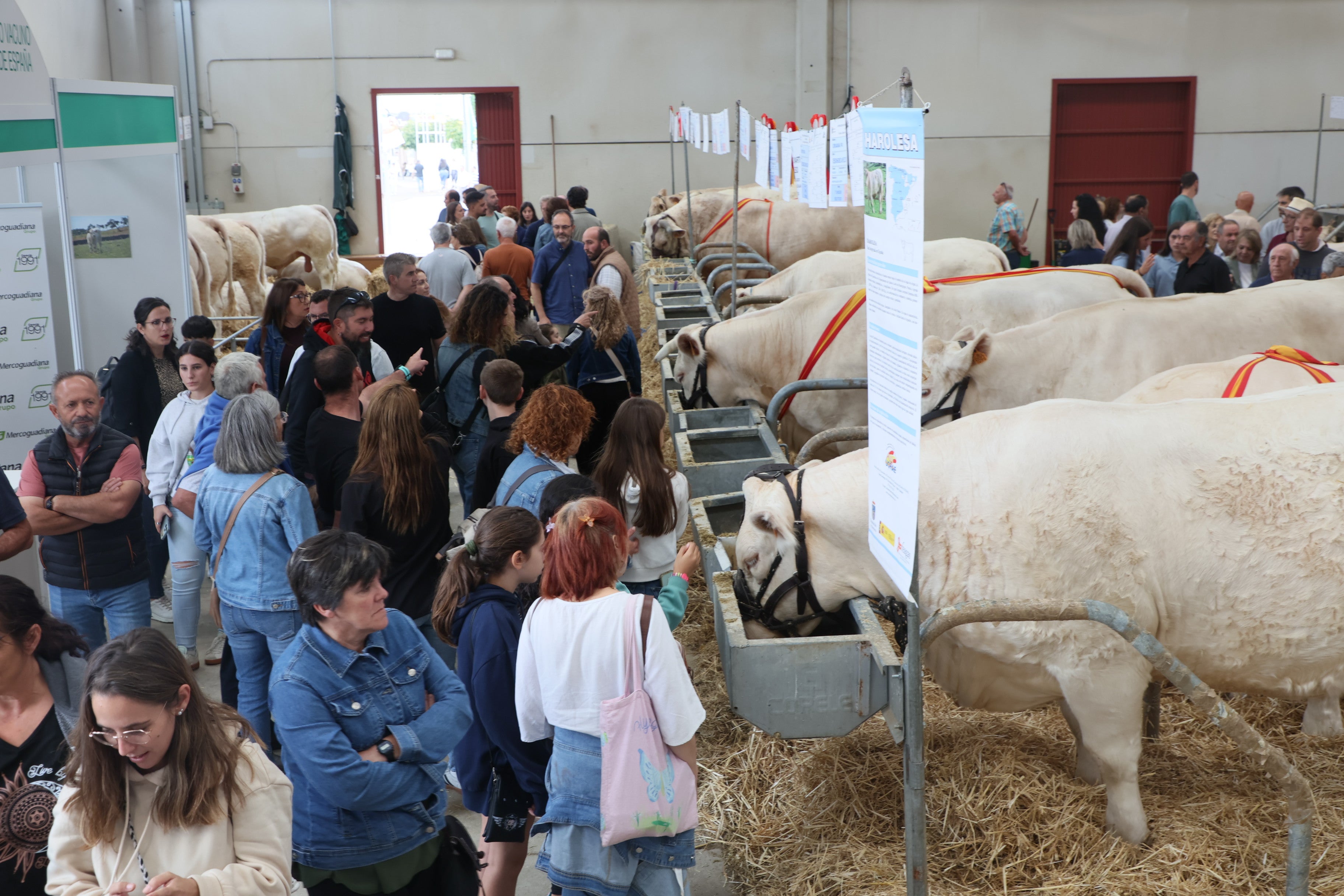 Las mejores imágenes del cuarto día de &#039;Salamaq 2025&#039;