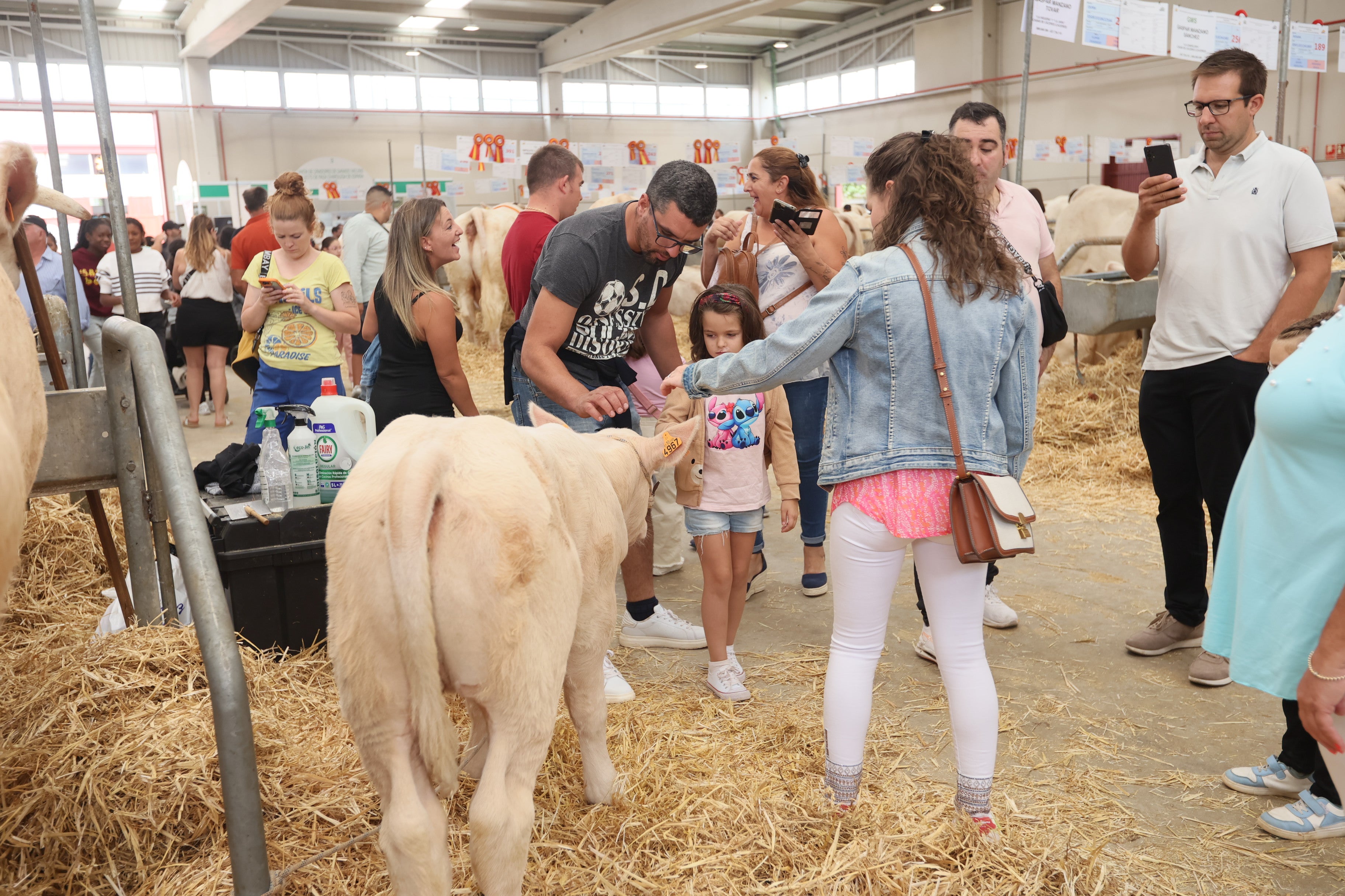 Las mejores imágenes del cuarto día de &#039;Salamaq 2025&#039;