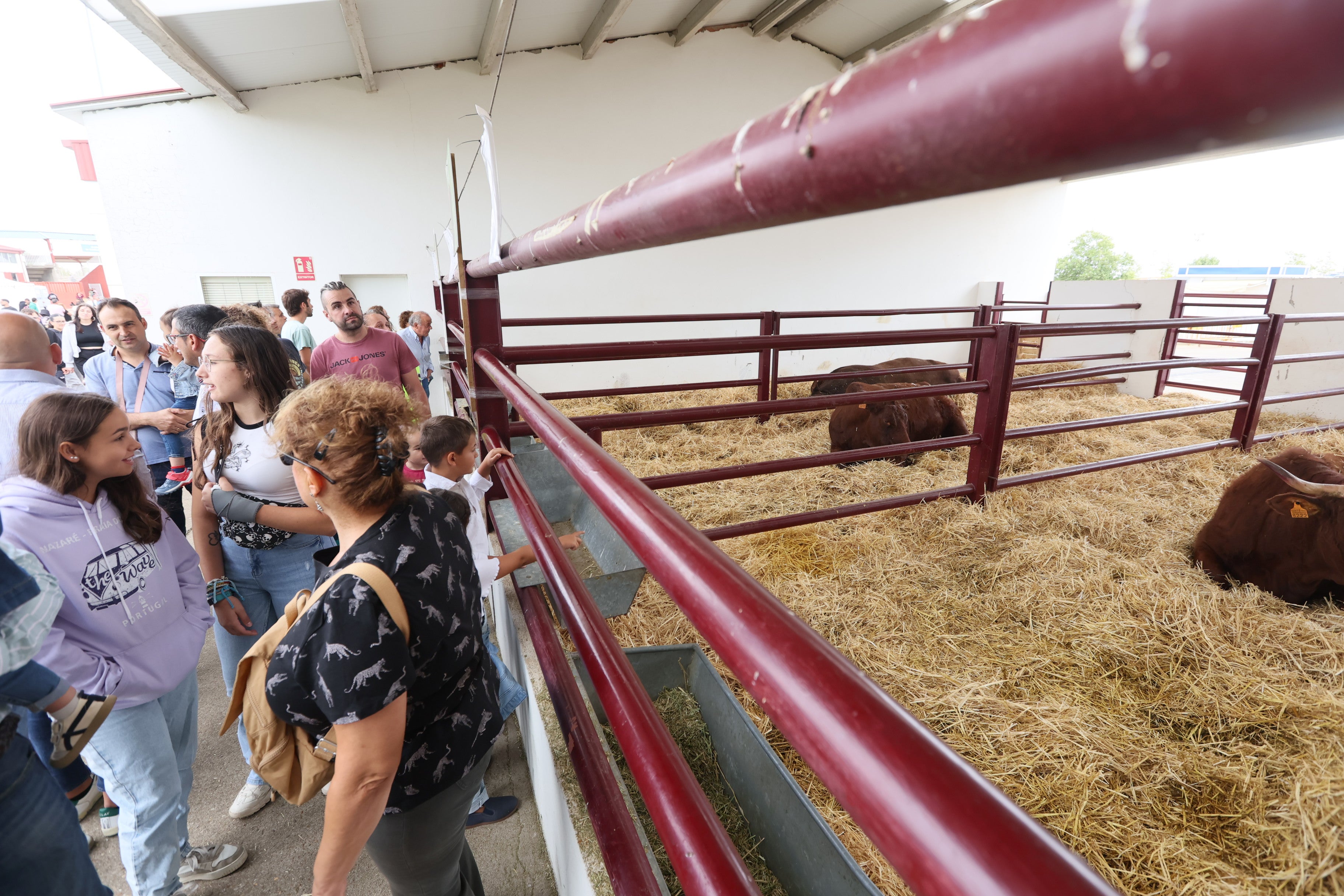 Las mejores imágenes del cuarto día de &#039;Salamaq 2025&#039;