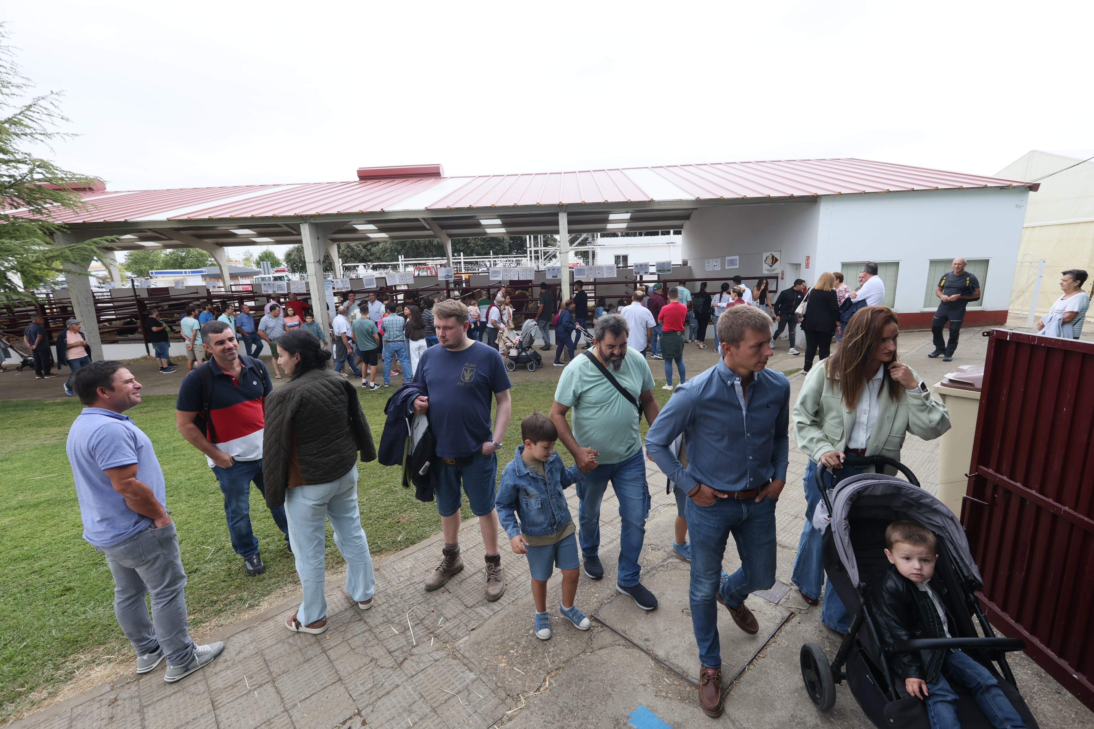 Las mejores imágenes del cuarto día de &#039;Salamaq 2025&#039;