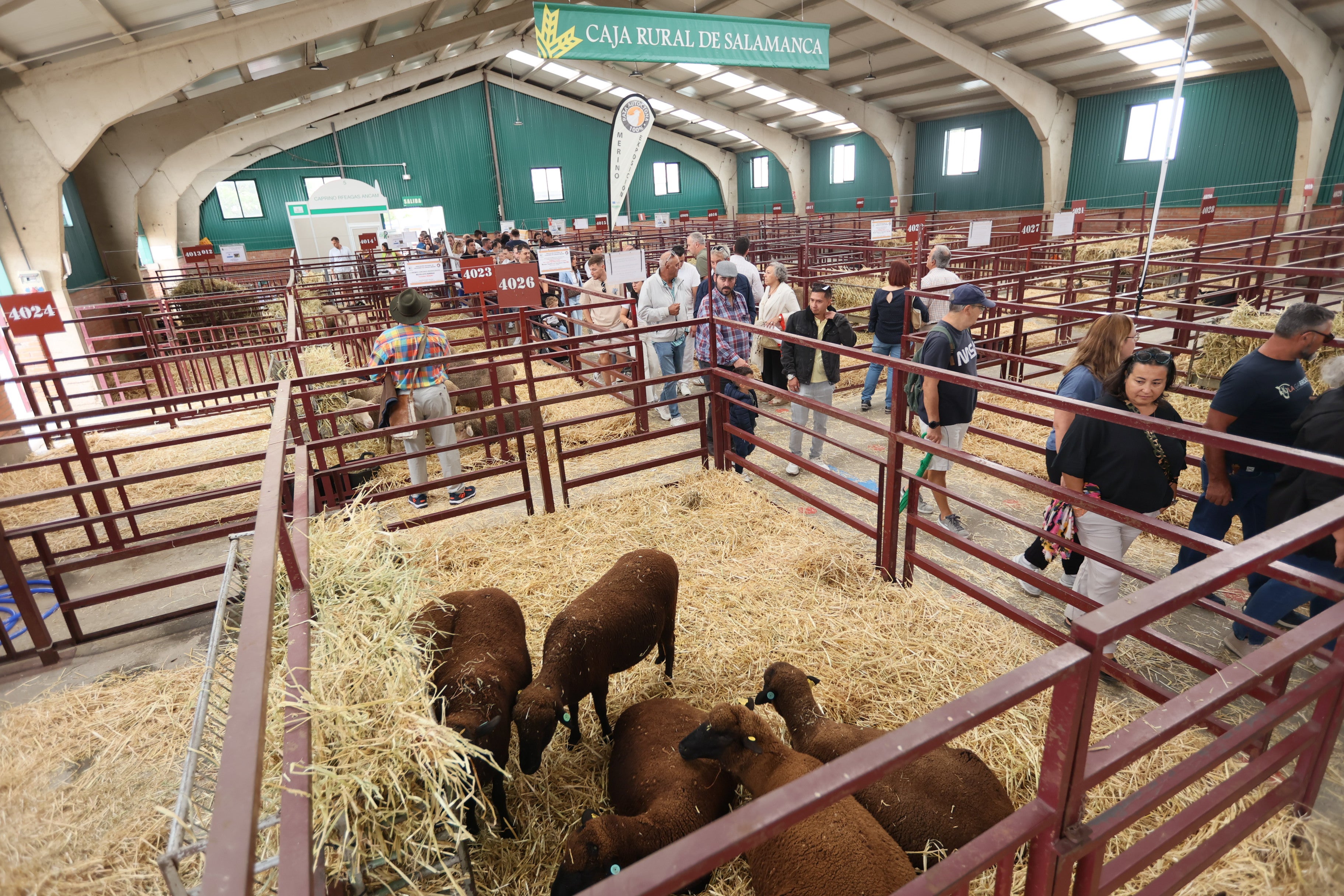 Las mejores imágenes del cuarto día de &#039;Salamaq 2025&#039;