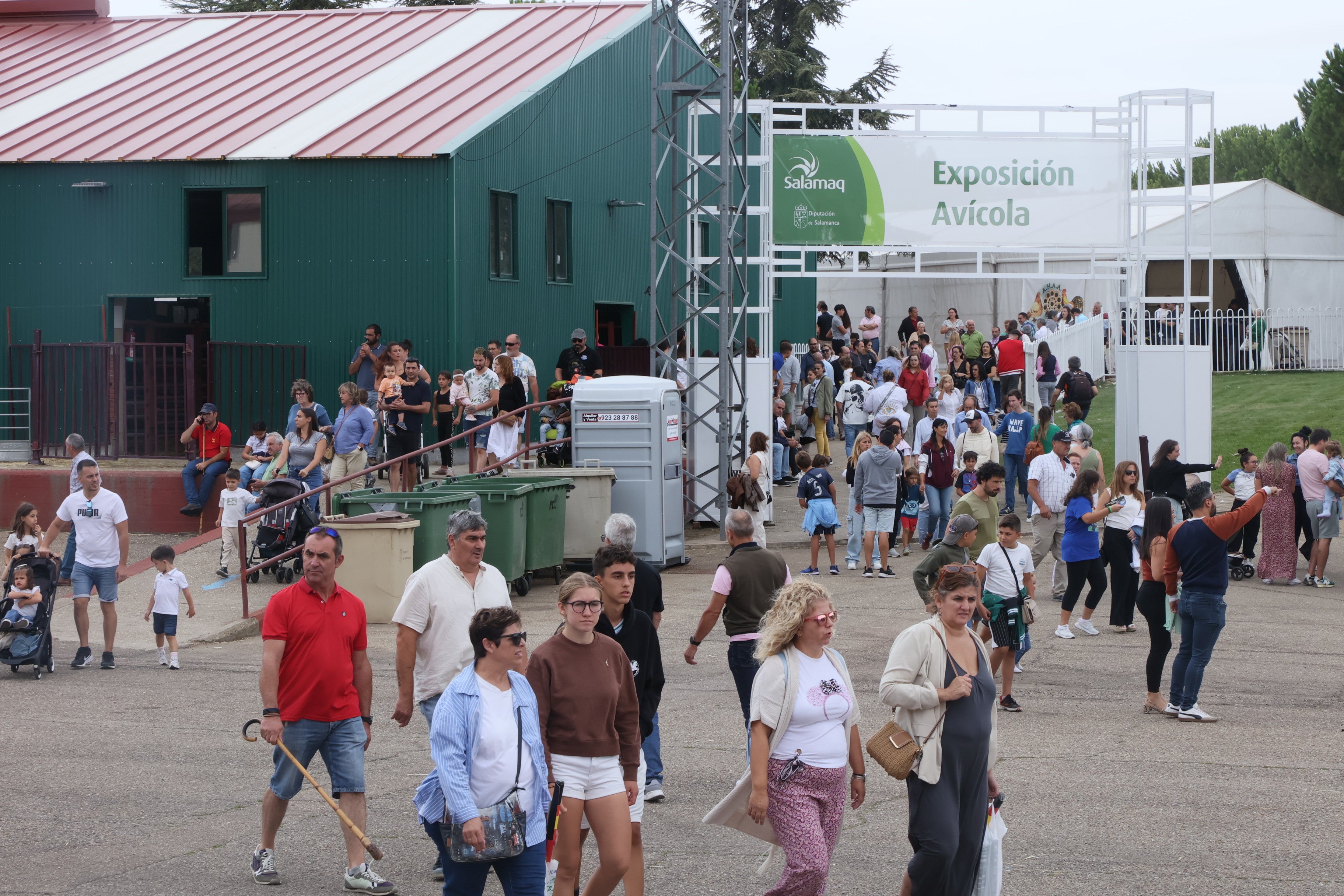 Las mejores imágenes del cuarto día de &#039;Salamaq 2025&#039;