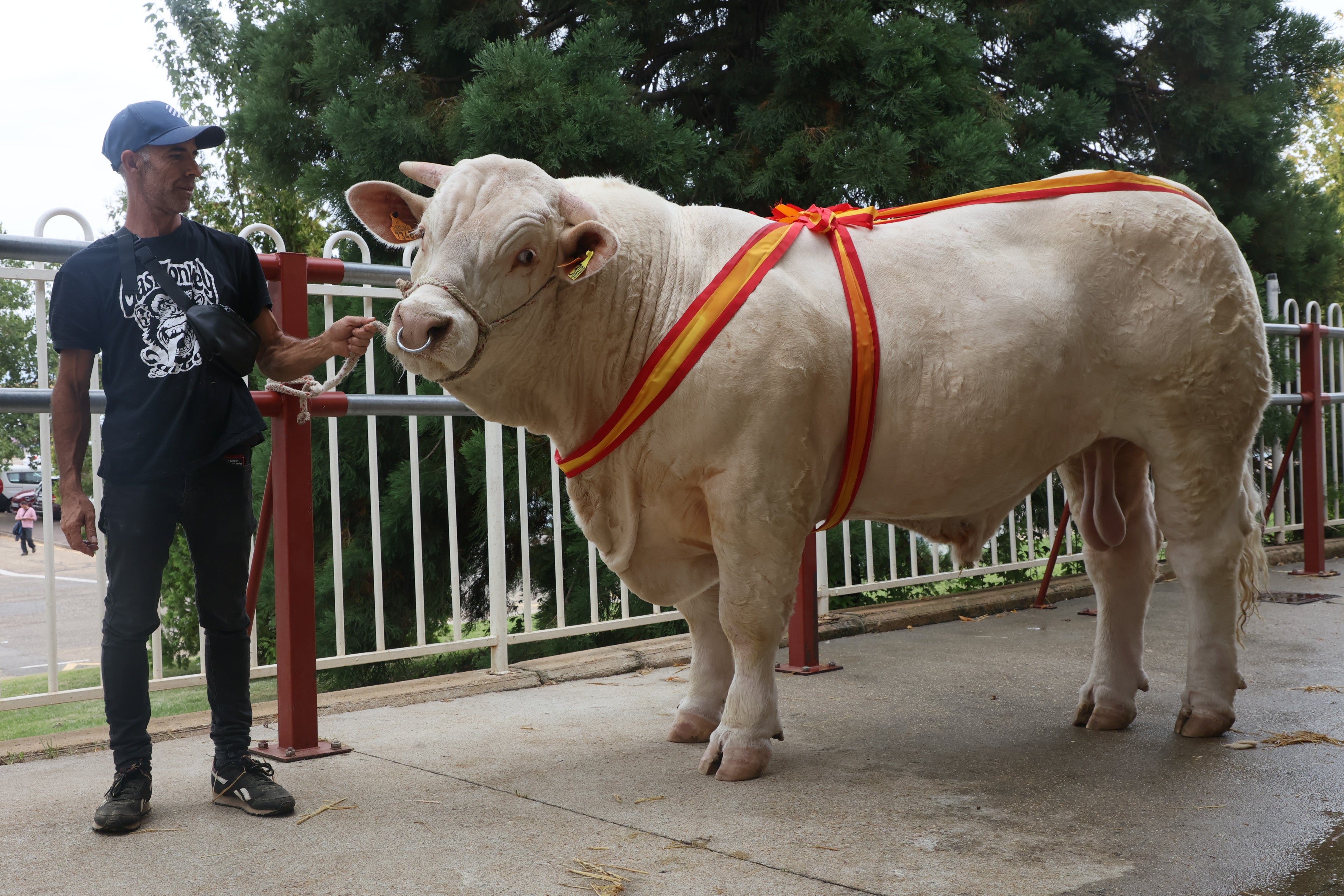 Las mejores imágenes del cuarto día de &#039;Salamaq 2025&#039;