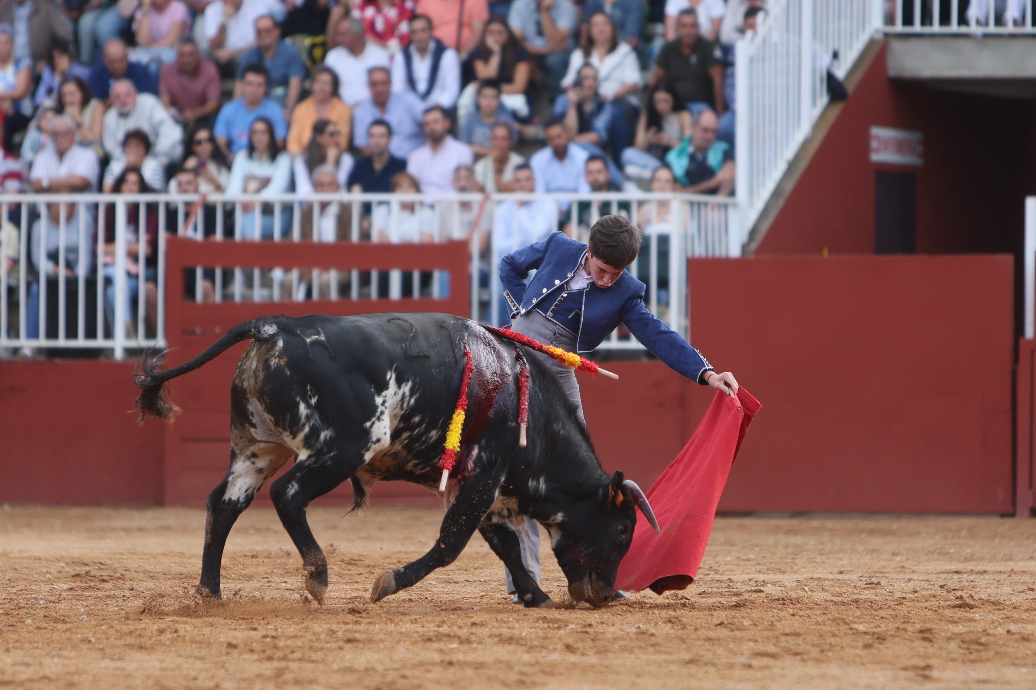 José Tomás Ortiz, triunfador en la clase práctica de tauromaquia