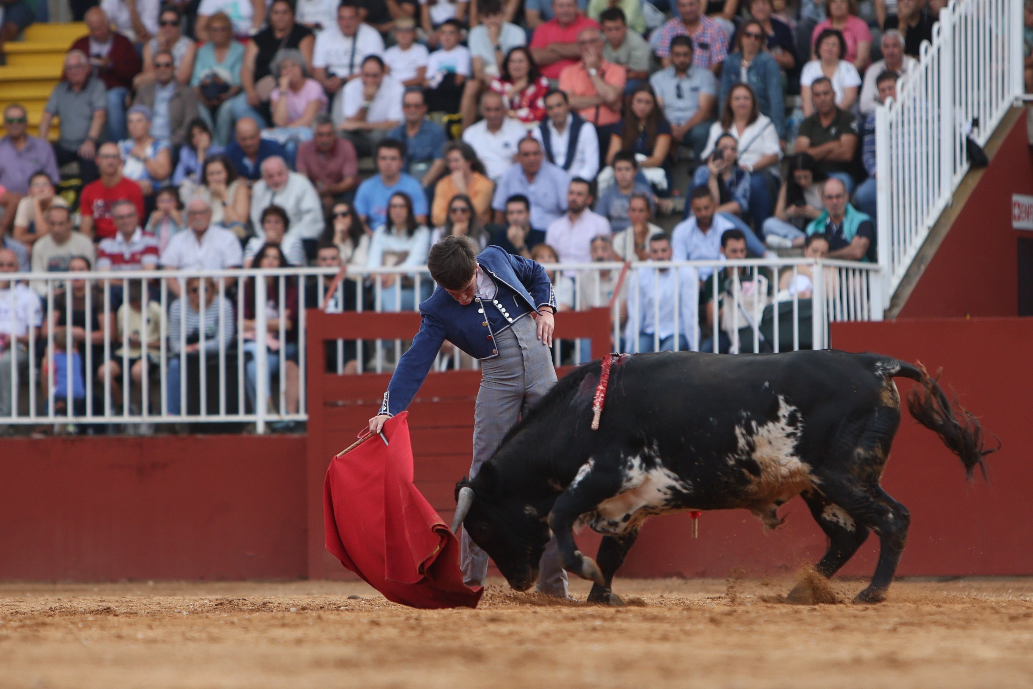 José Tomás Ortiz, triunfador en la clase práctica de tauromaquia
