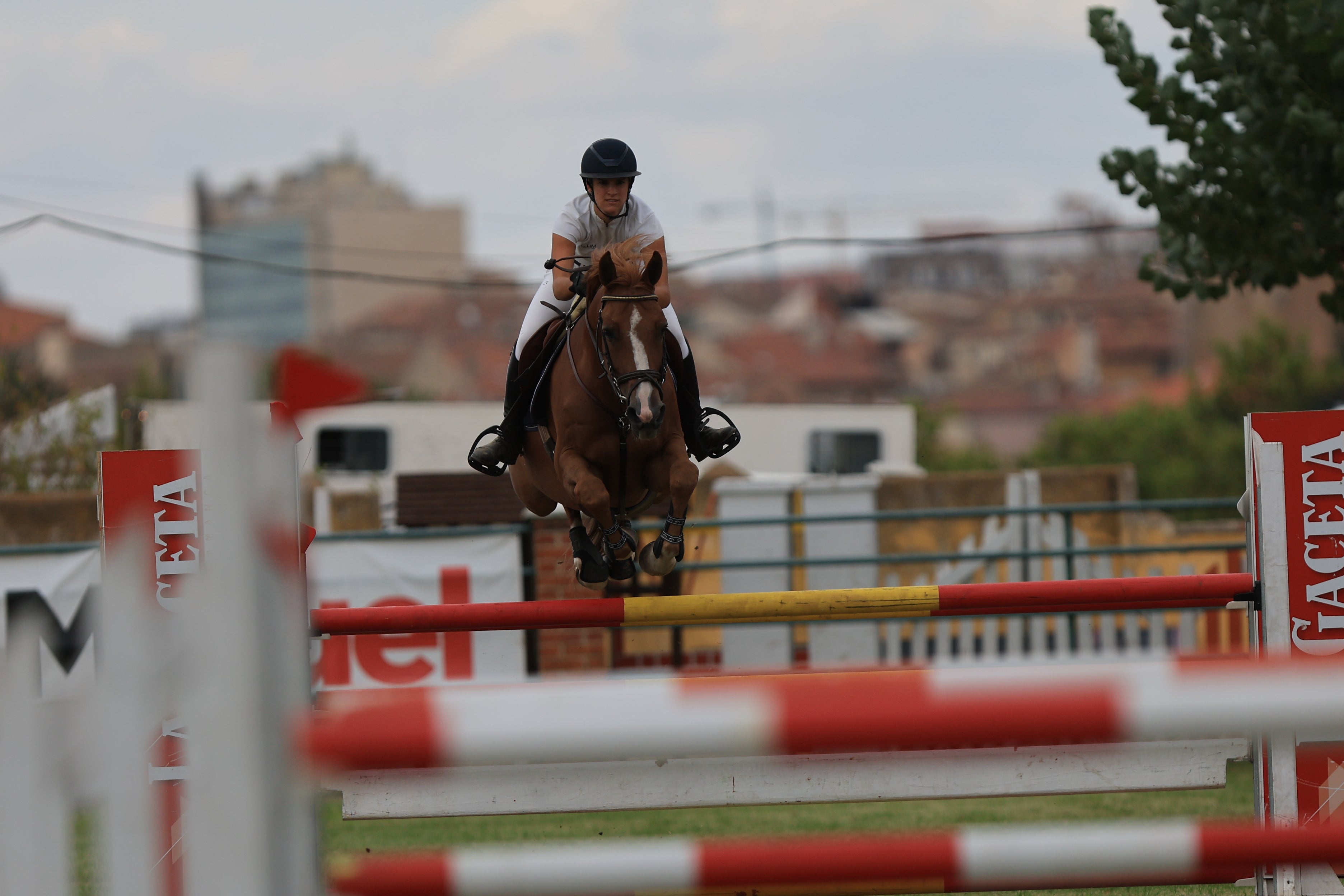 Broche de oro a la 74ª edición