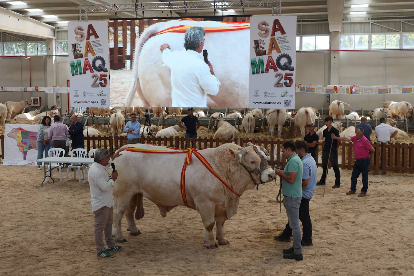 Las mejores imágenes con las que despedir el último día de &#039;Salamaq 2025&#039;