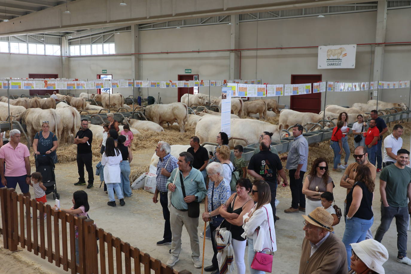 Las mejores imágenes con las que despedir el último día de &#039;Salamaq 2025&#039;