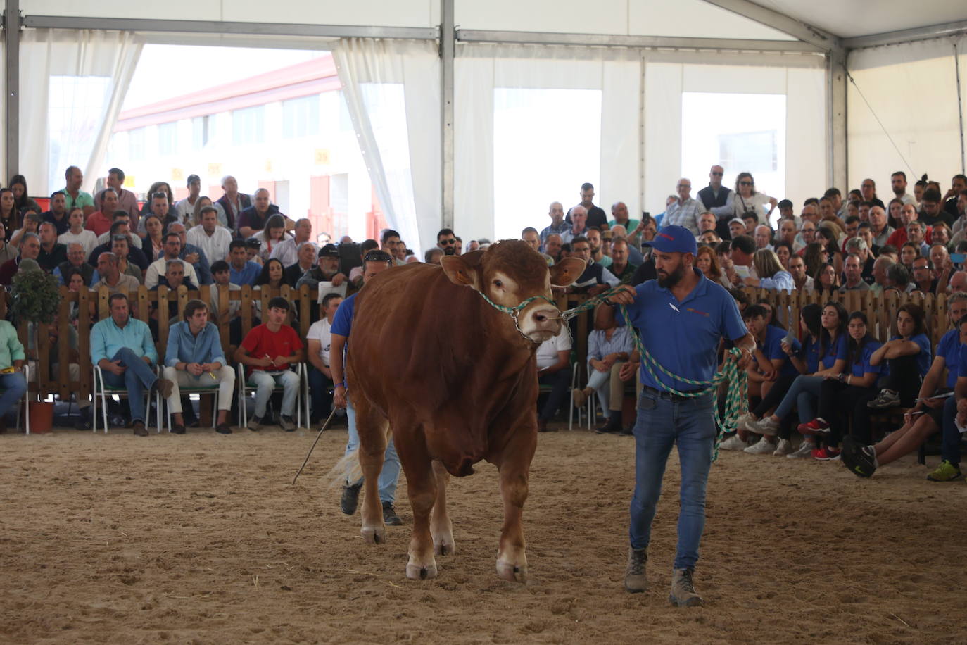 Las mejores imágenes con las que despedir el último día de &#039;Salamaq 2025&#039;