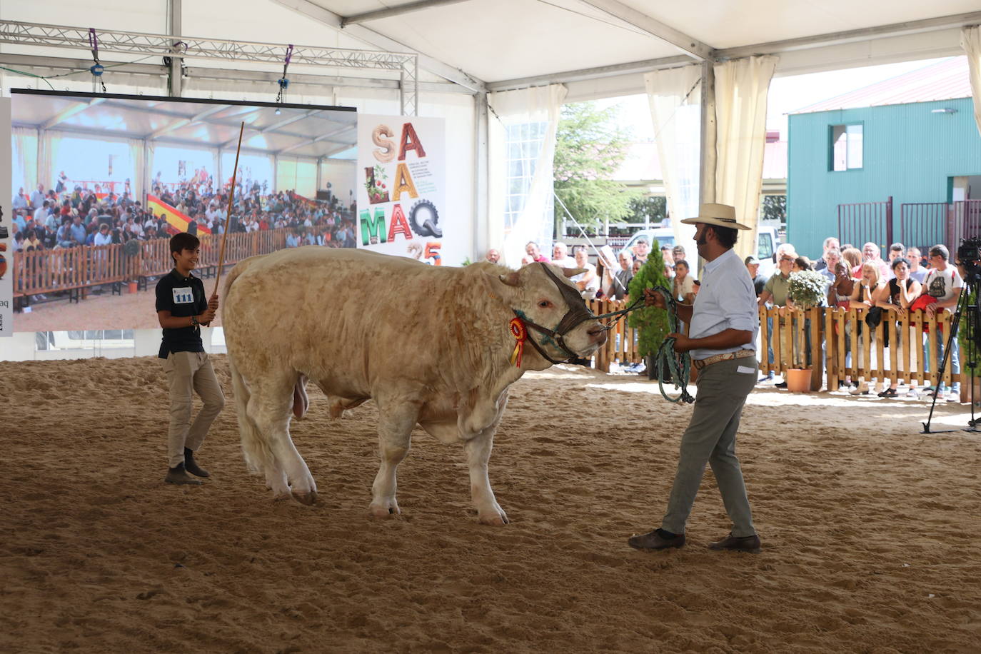 Las mejores imágenes con las que despedir el último día de &#039;Salamaq 2025&#039;