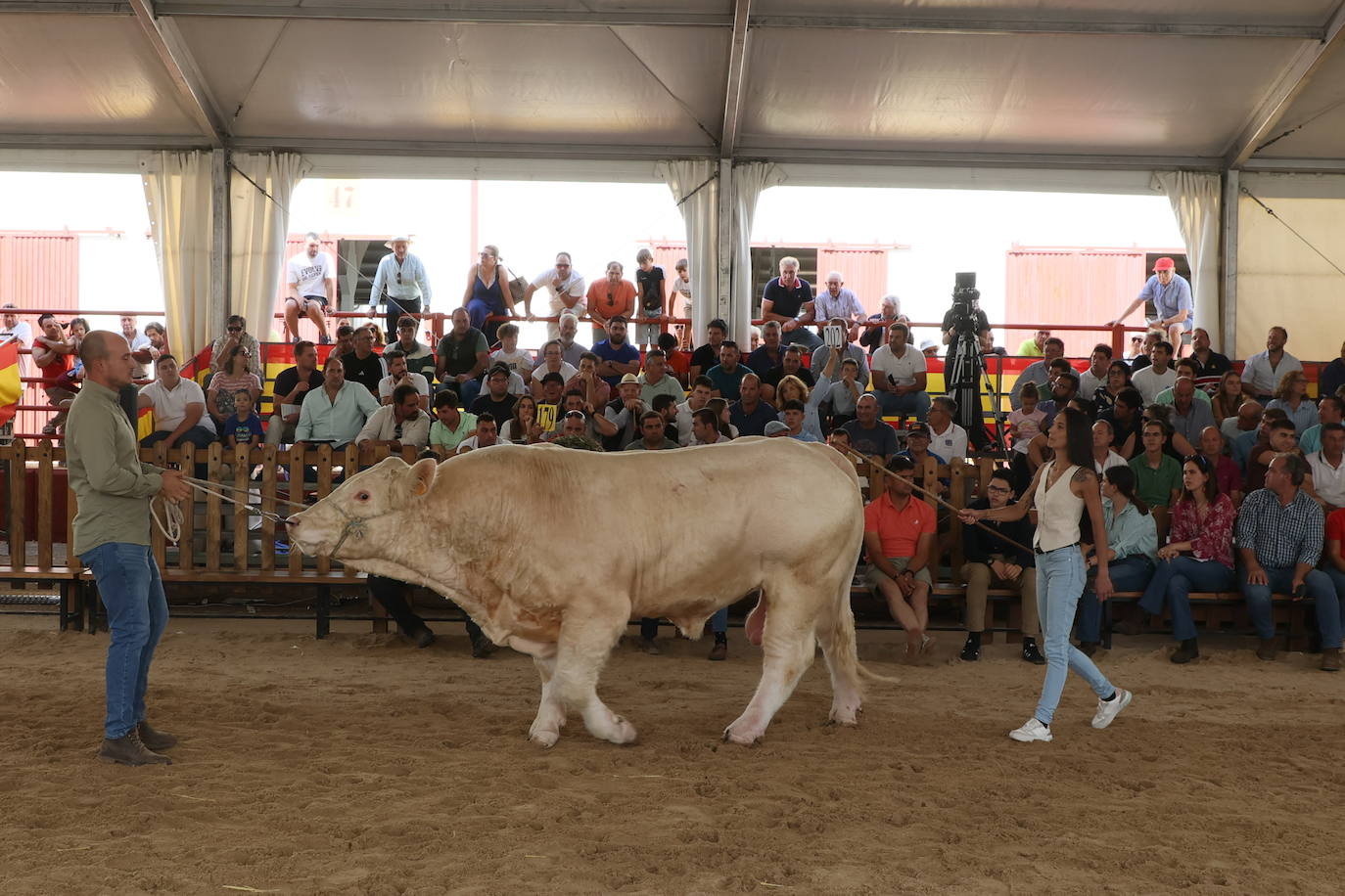 Las mejores imágenes con las que despedir el último día de &#039;Salamaq 2025&#039;