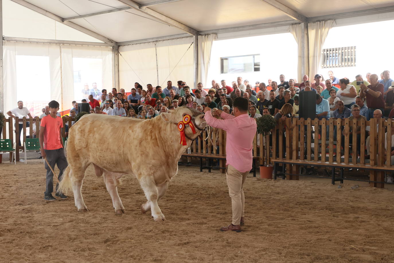 Las mejores imágenes con las que despedir el último día de &#039;Salamaq 2025&#039;