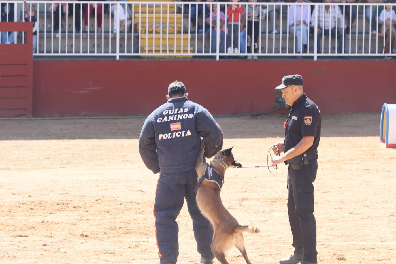 Las mejores imágenes con las que despedir el último día de &#039;Salamaq 2025&#039;