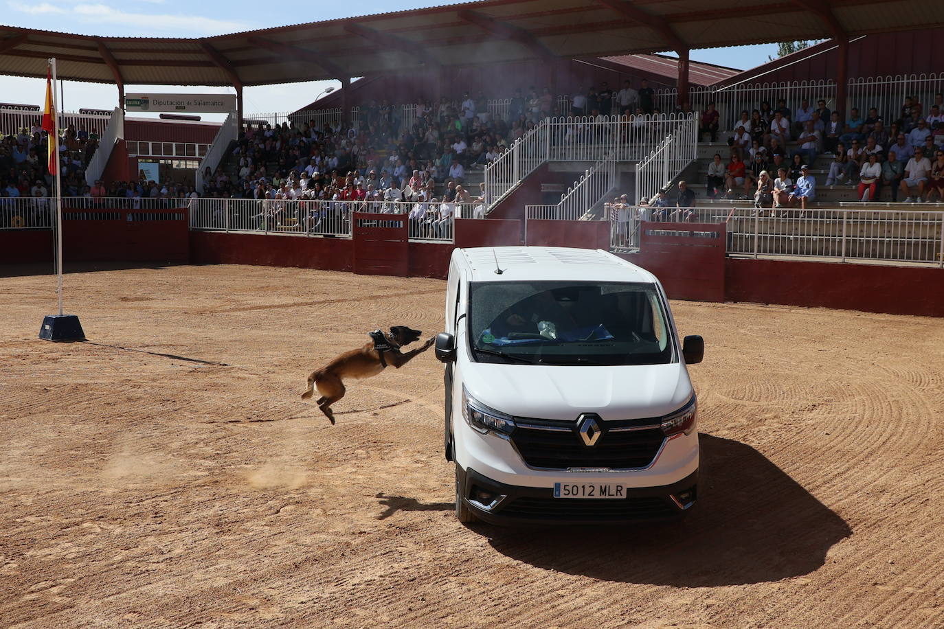Las mejores imágenes con las que despedir el último día de &#039;Salamaq 2025&#039;