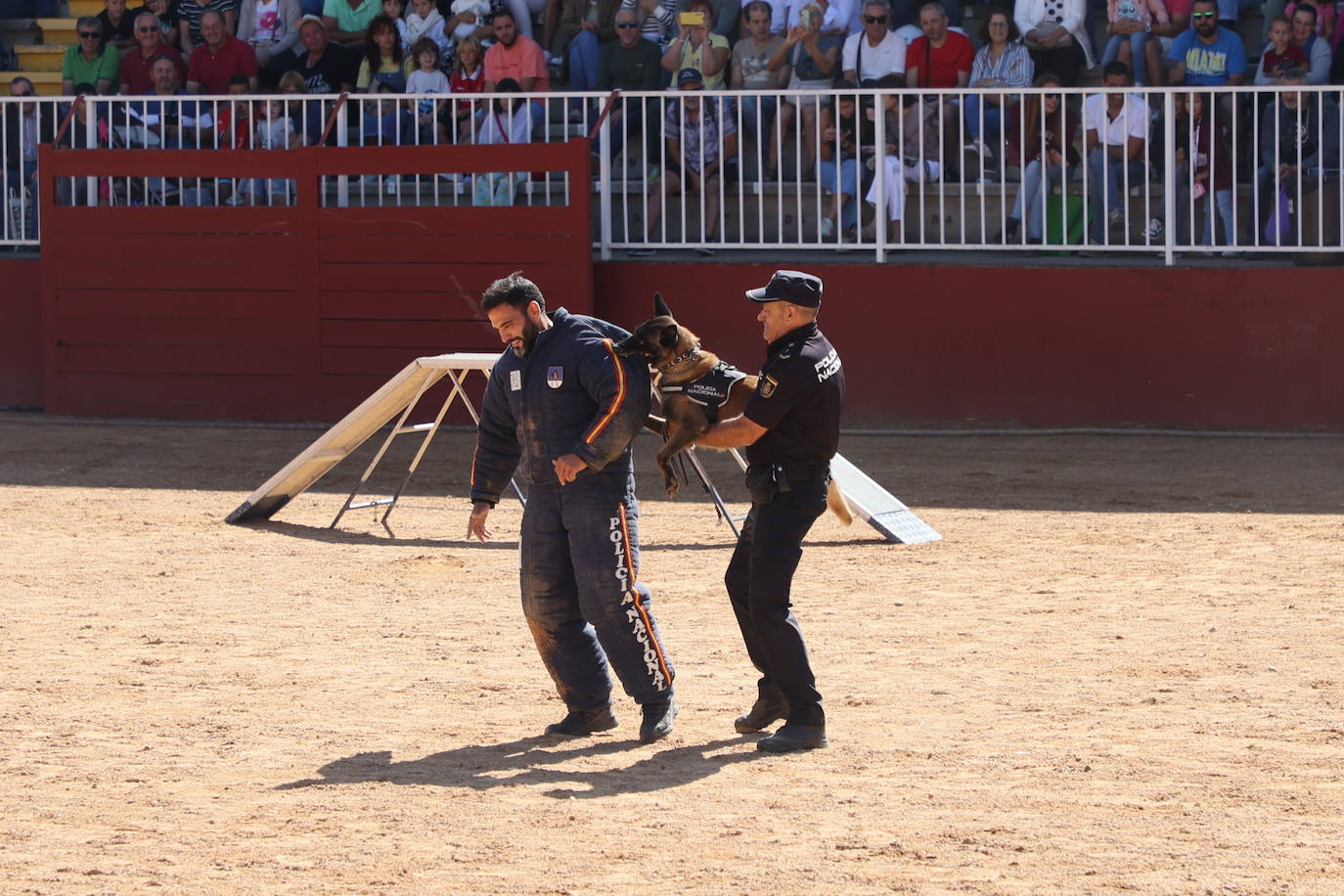 Las mejores imágenes con las que despedir el último día de &#039;Salamaq 2025&#039;