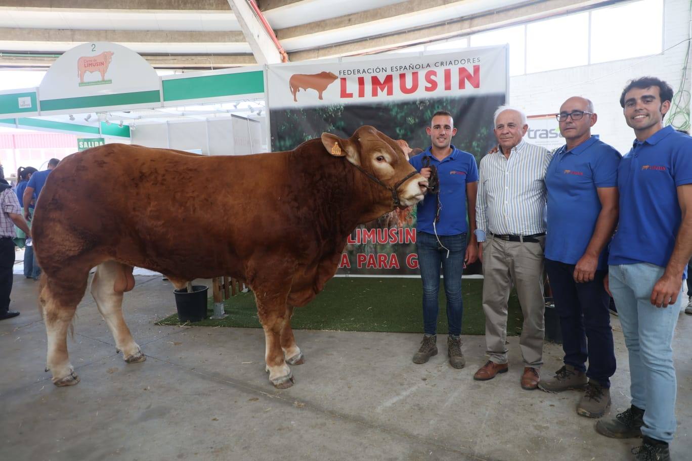 Éxito rotundo en la subasta de vacuno de &#039;Salamaq 2025&#039; por los numerosos ejemplares vendidos por encima de los 6.000 euros