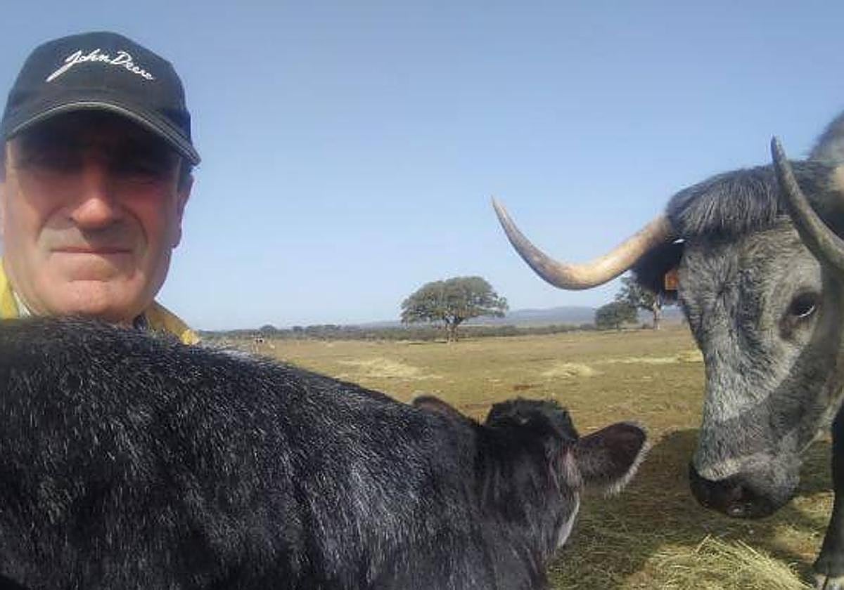 Jesús Rodríguez Ingelmo, con un ternero en brazos junto a su madre, una hembra de raza morucha.