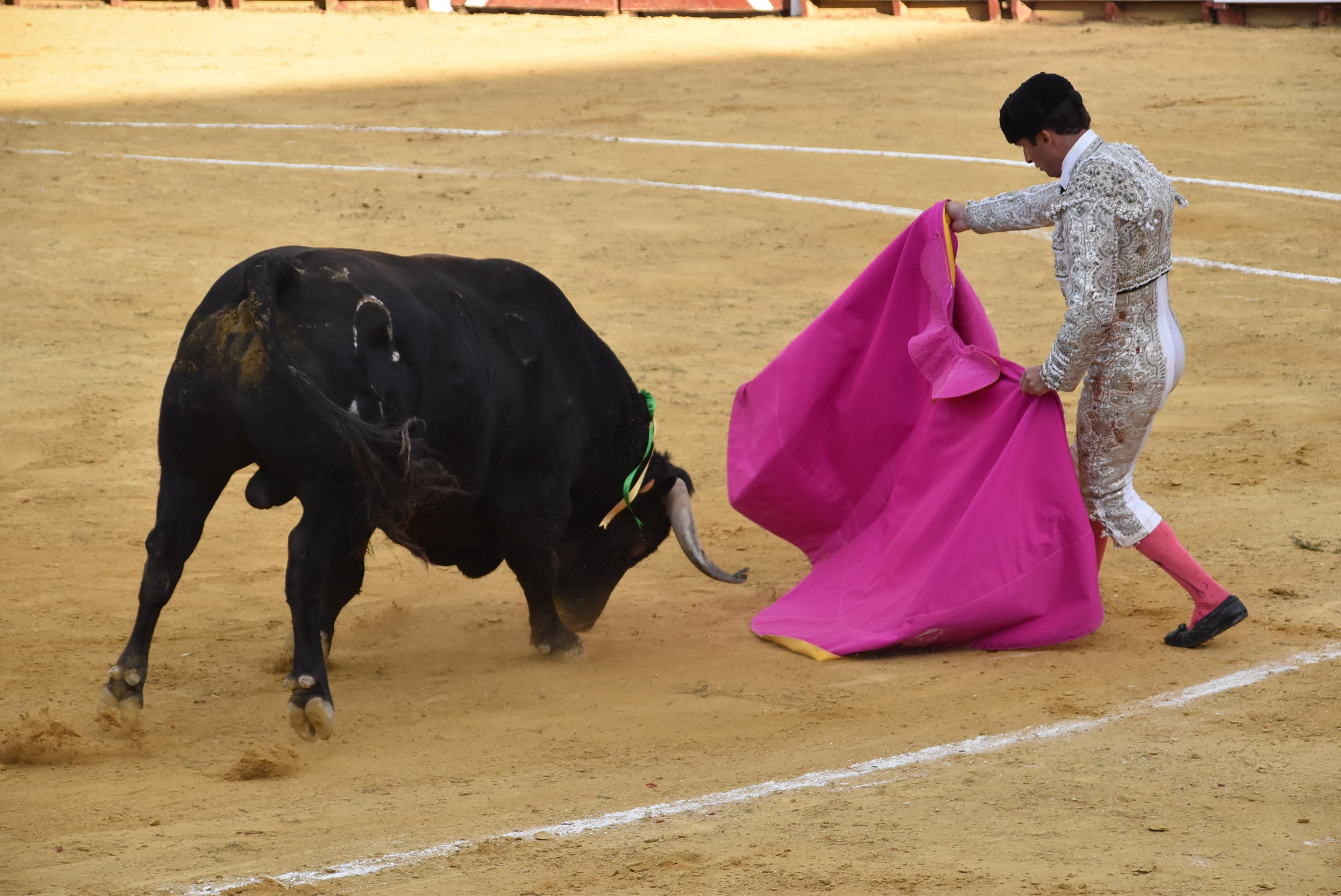 Puerta grande para Castaño, Diosleguarde y Julio Norte en la plaza de toros de Béjar
