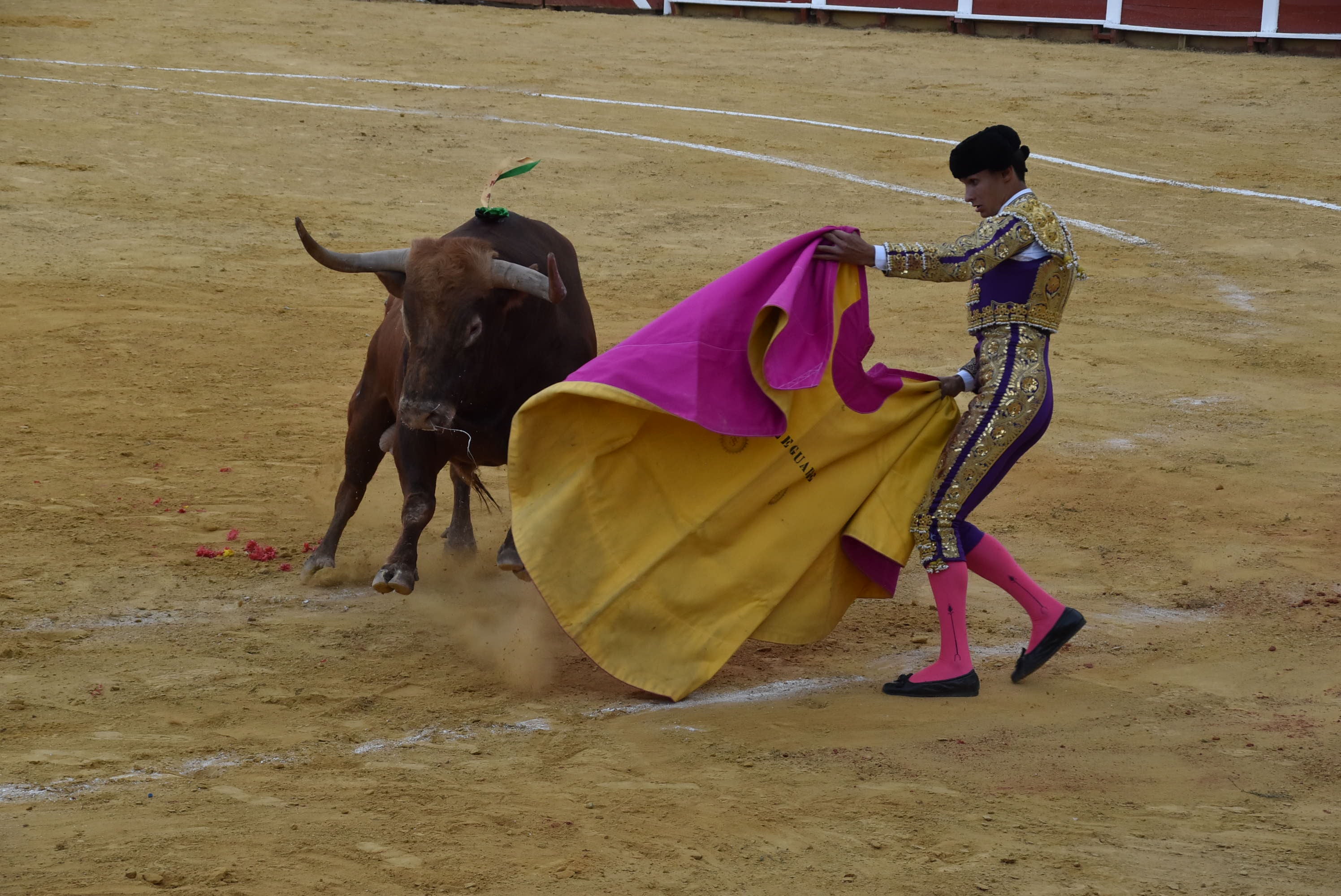 Puerta grande para Castaño, Diosleguarde y Julio Norte en la plaza de toros de Béjar
