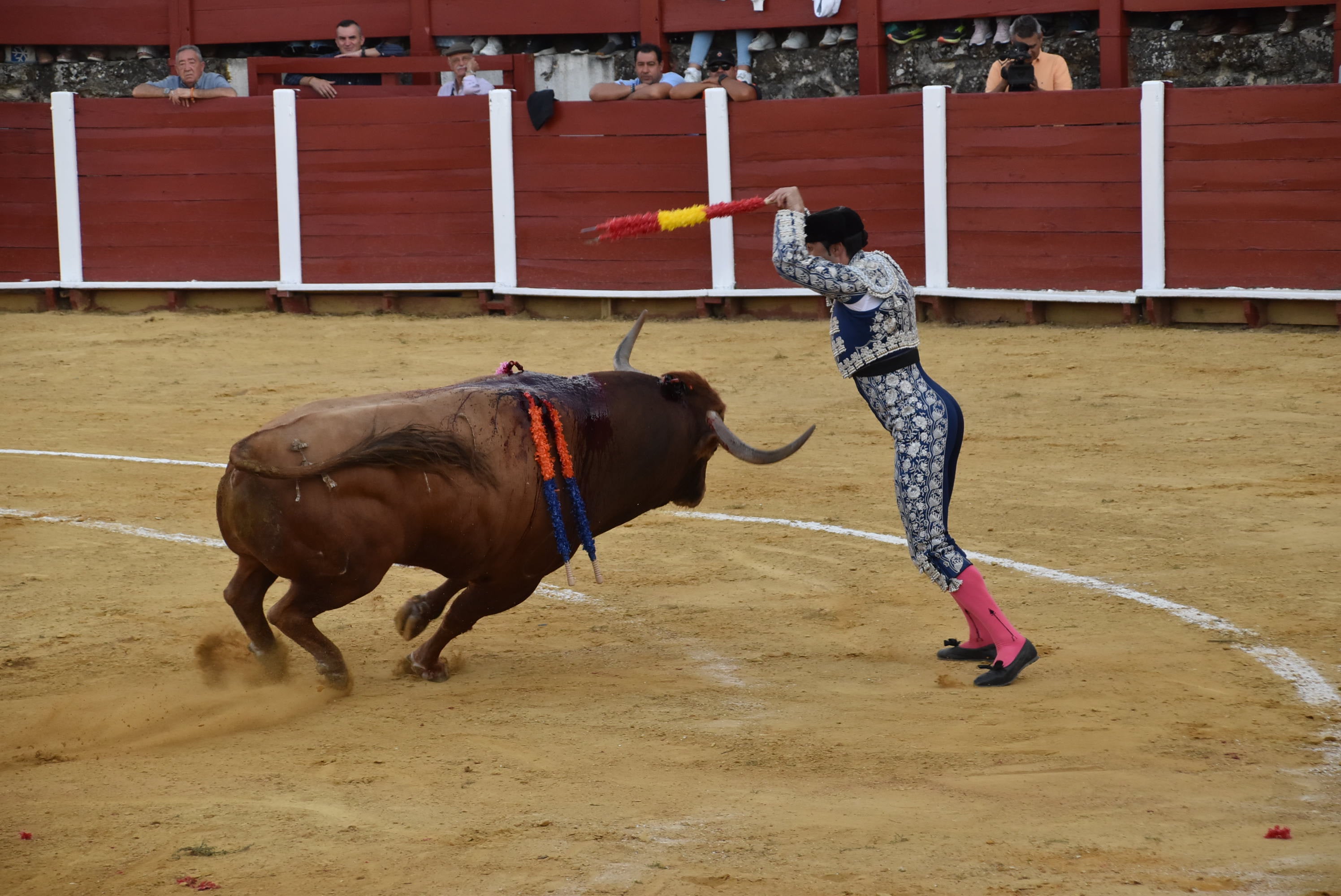 Puerta grande para Castaño, Diosleguarde y Julio Norte en la plaza de toros de Béjar