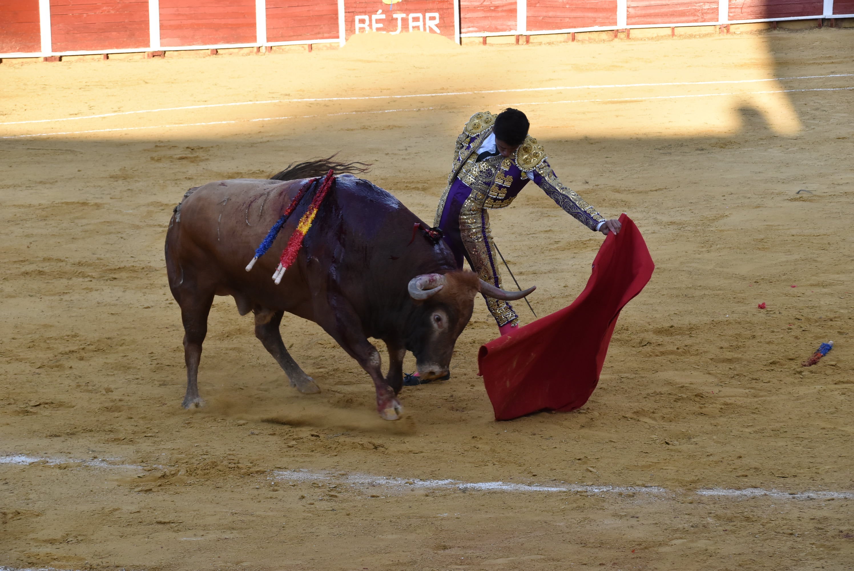 Puerta grande para Castaño, Diosleguarde y Julio Norte en la plaza de toros de Béjar