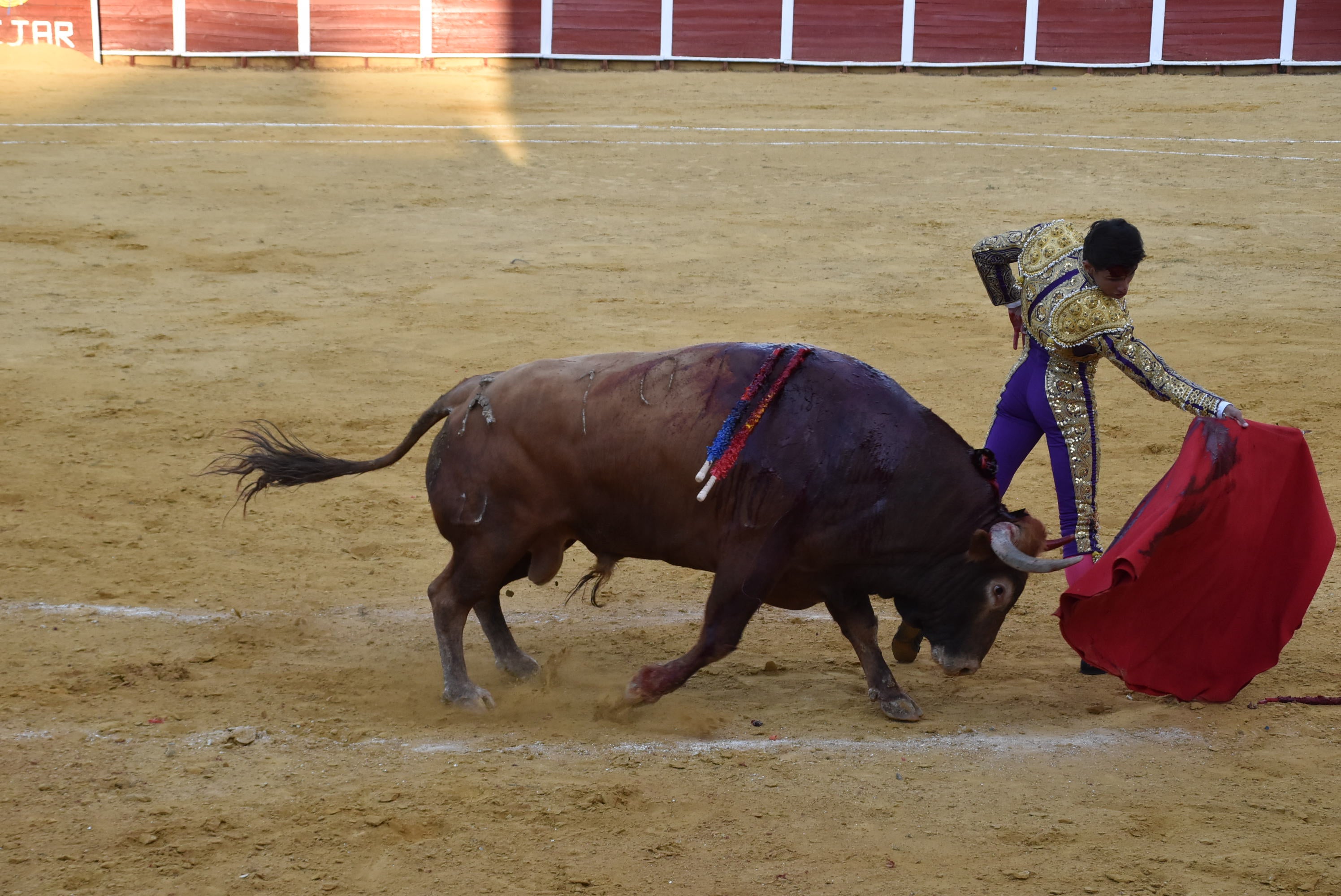 Puerta grande para Castaño, Diosleguarde y Julio Norte en la plaza de toros de Béjar