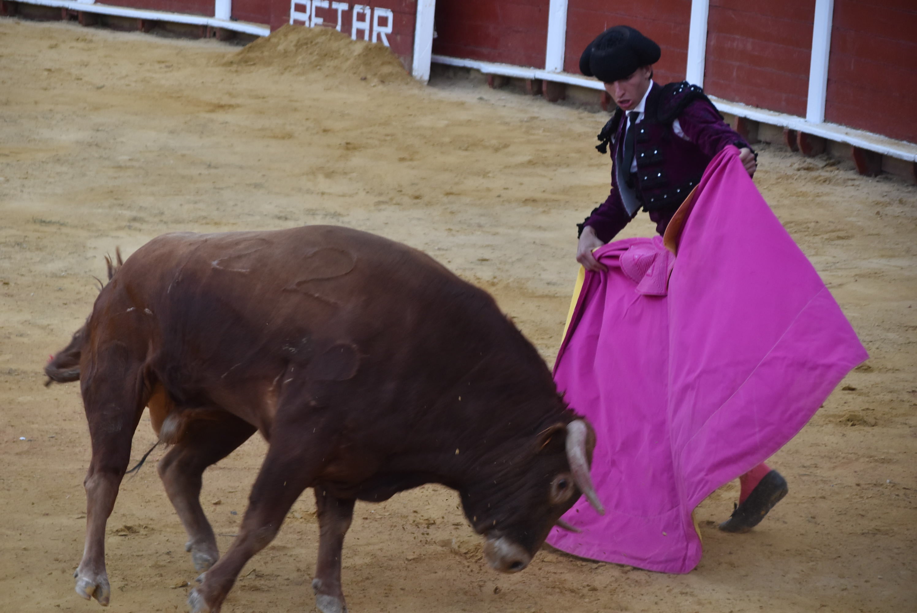Puerta grande para Castaño, Diosleguarde y Julio Norte en la plaza de toros de Béjar