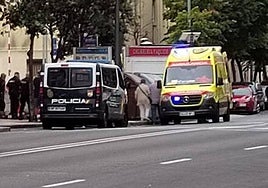 Un furgón de la Policía Nacional y una ambulancia de soporte vital básico, en el Paseo de la Estación en la mañana de este jueves.