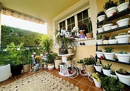 Imagen de la terraza de Rocío Jiménez, ganadora del concurso de LA GACETA.