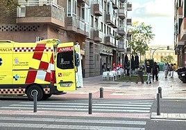 Imagen de la ambulancia en la calle Nueva Zelanda.