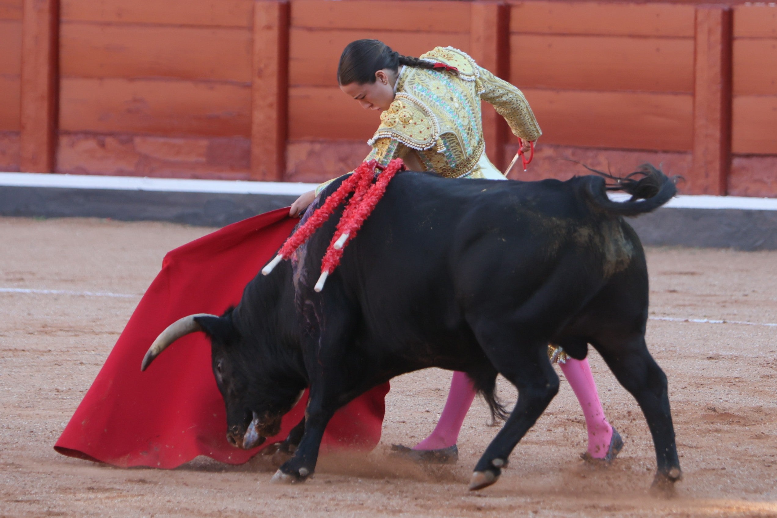 Las mejores imágenes de la novillada que abrió la Feria