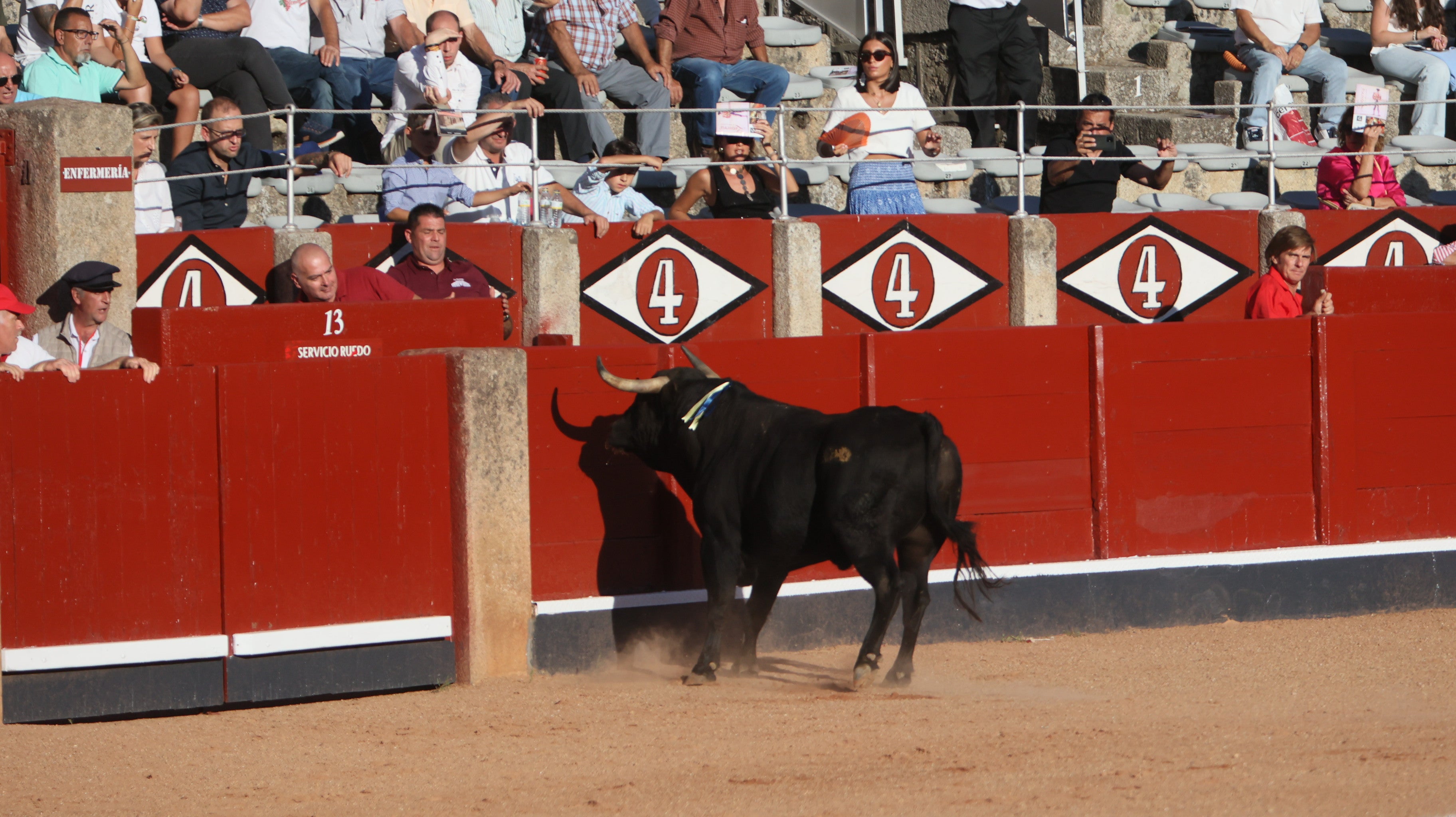 Las mejores imágenes de la novillada que abrió la Feria