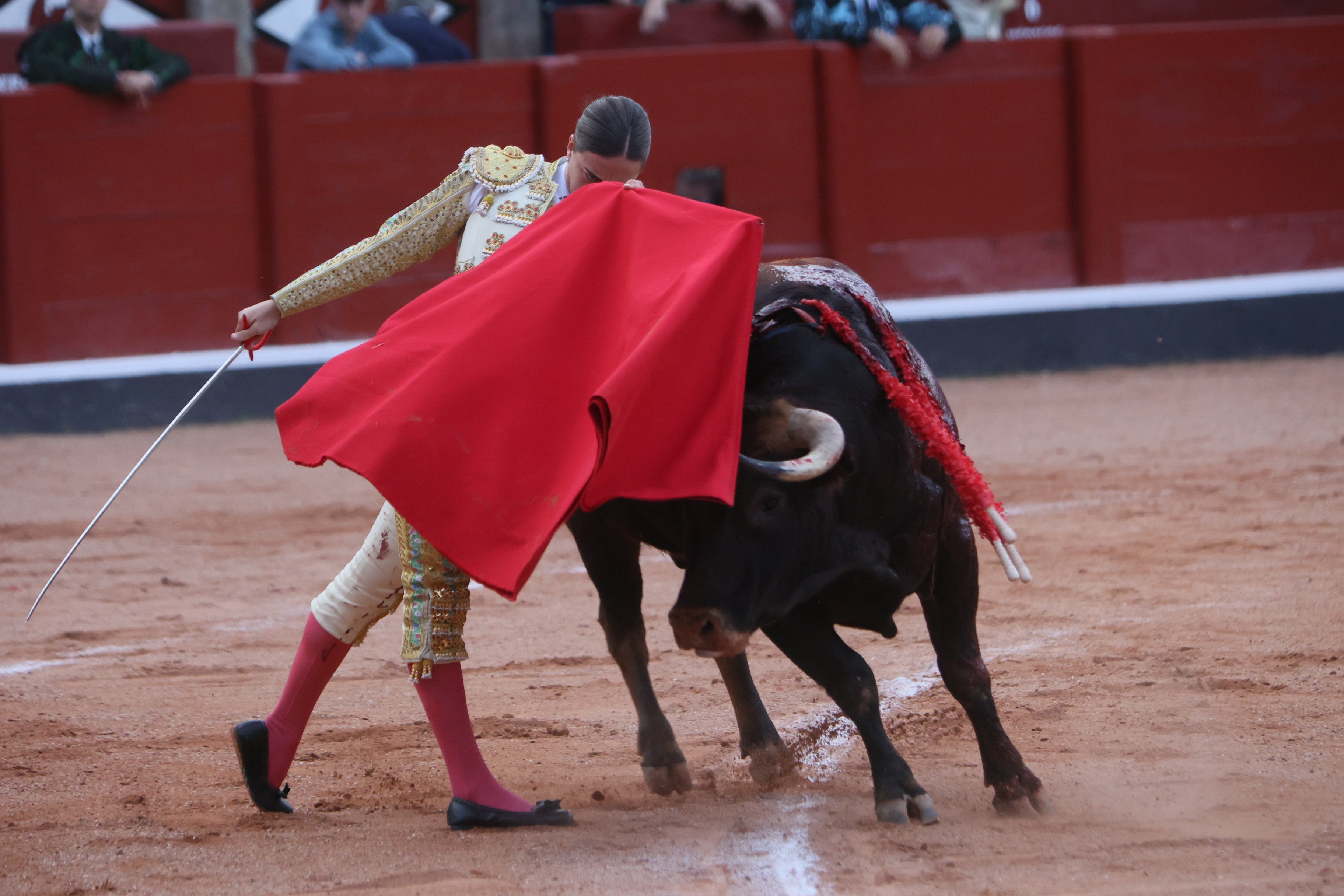 Las mejores imágenes de la novillada que abrió la Feria