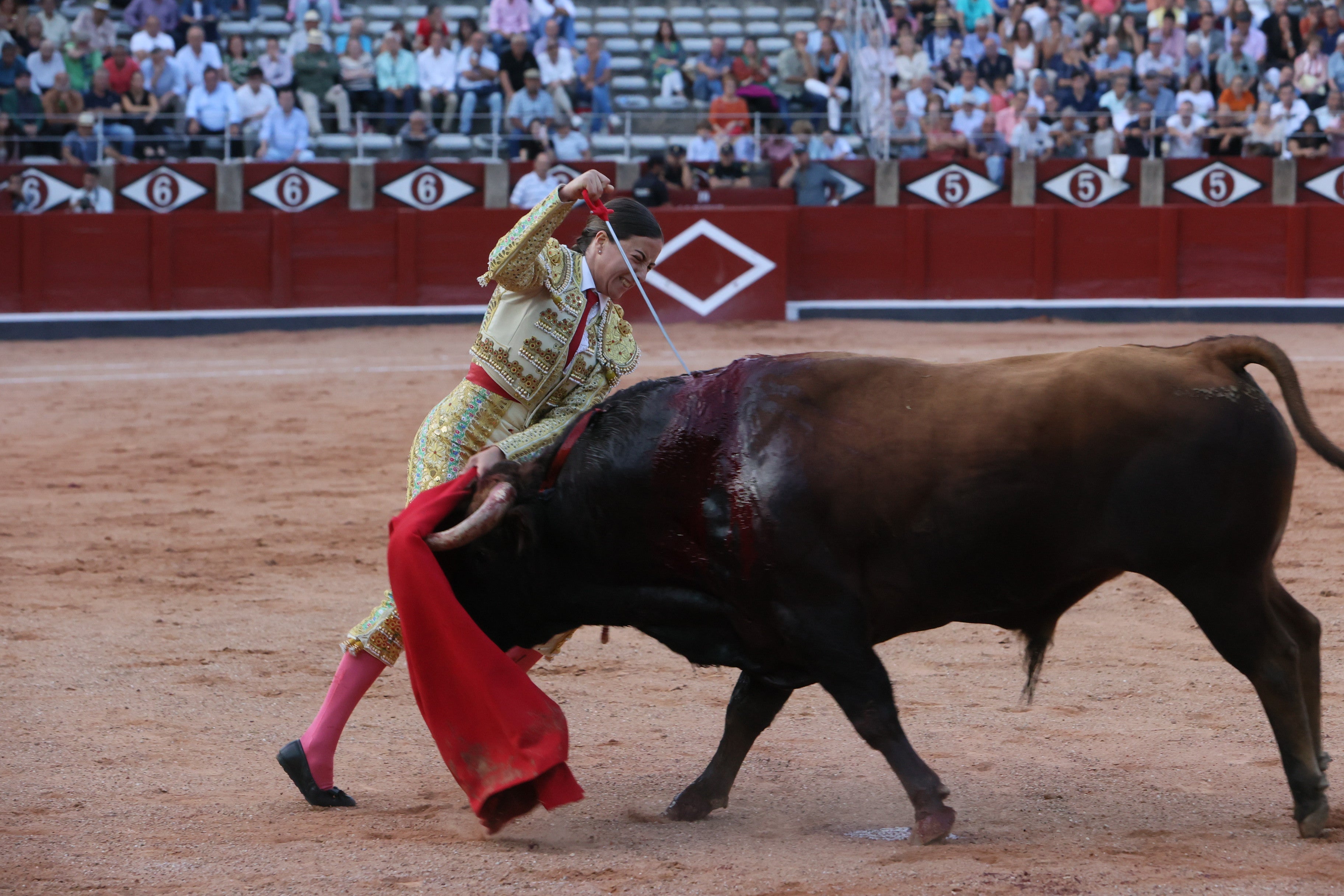 Las mejores imágenes de la novillada que abrió la Feria