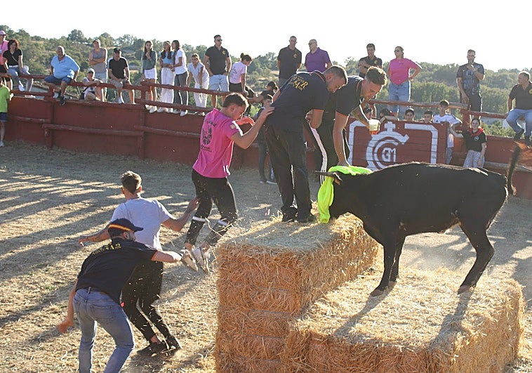 Las vaquillas animaron la tarde de fiesta en Colmenar