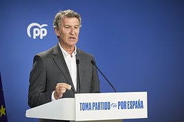 El líder del PP, Alberto Núñez Feijóo.