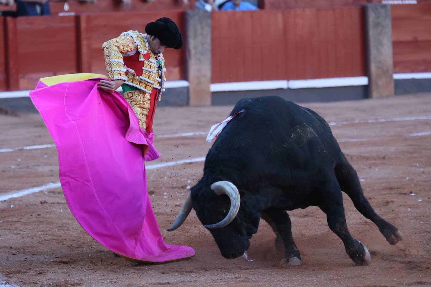 Las mejores imágenes del indulto de Buenasuerte en La Glorieta